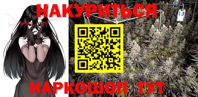 сатива Малгобек