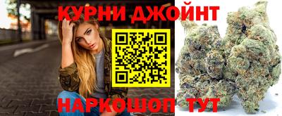 сатива Малгобек