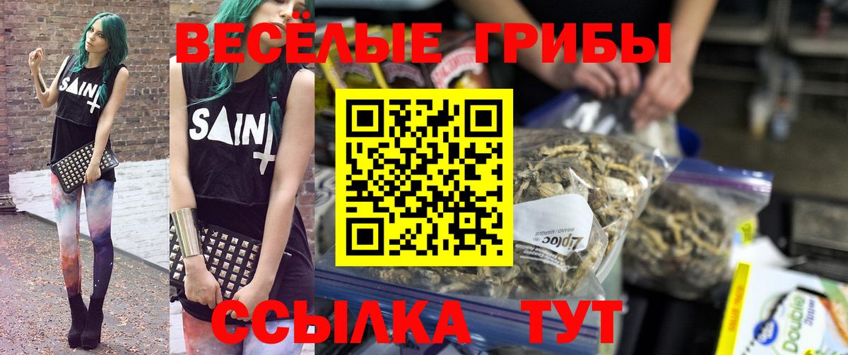 Галлюциногенные грибы GOLDEN TEACHER Урай