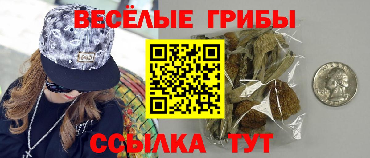 Псилоцибиновые грибы прущие грибы  Вход с VPN  хочу   Псилоцибиновые грибы GOLDEN TEACHER  Урай 